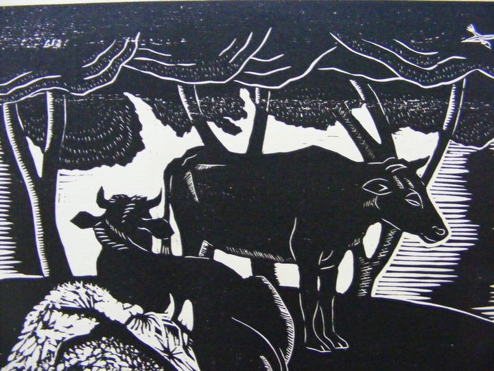 biblioteca 268 copy.jpg